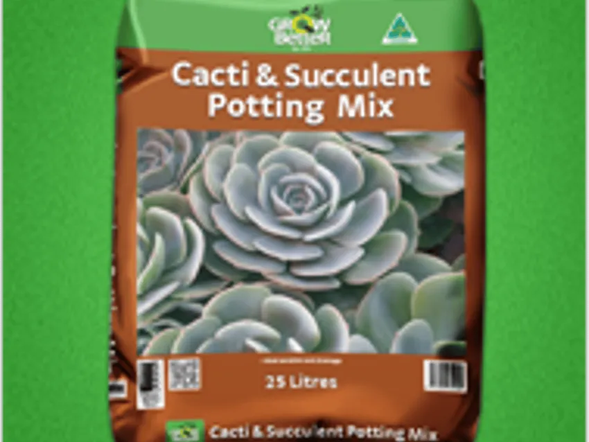 Somerville Garden Supplies - Cacti Succulent Potting Mix
