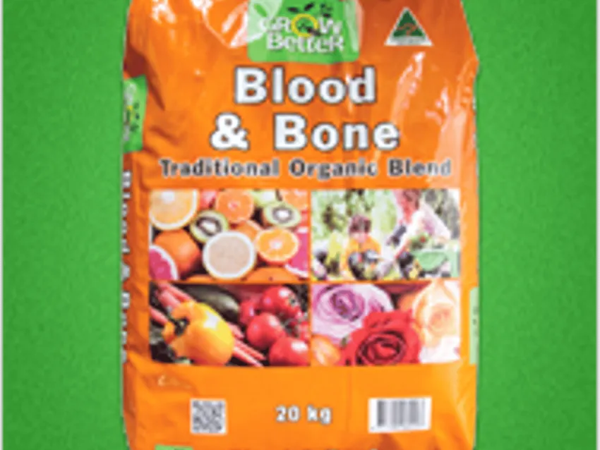 Somerville Garden Supplies - Blood Bone